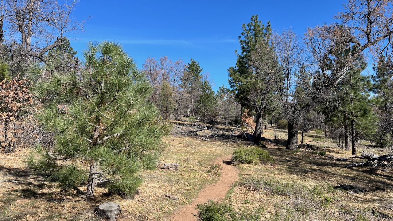 Trail View
