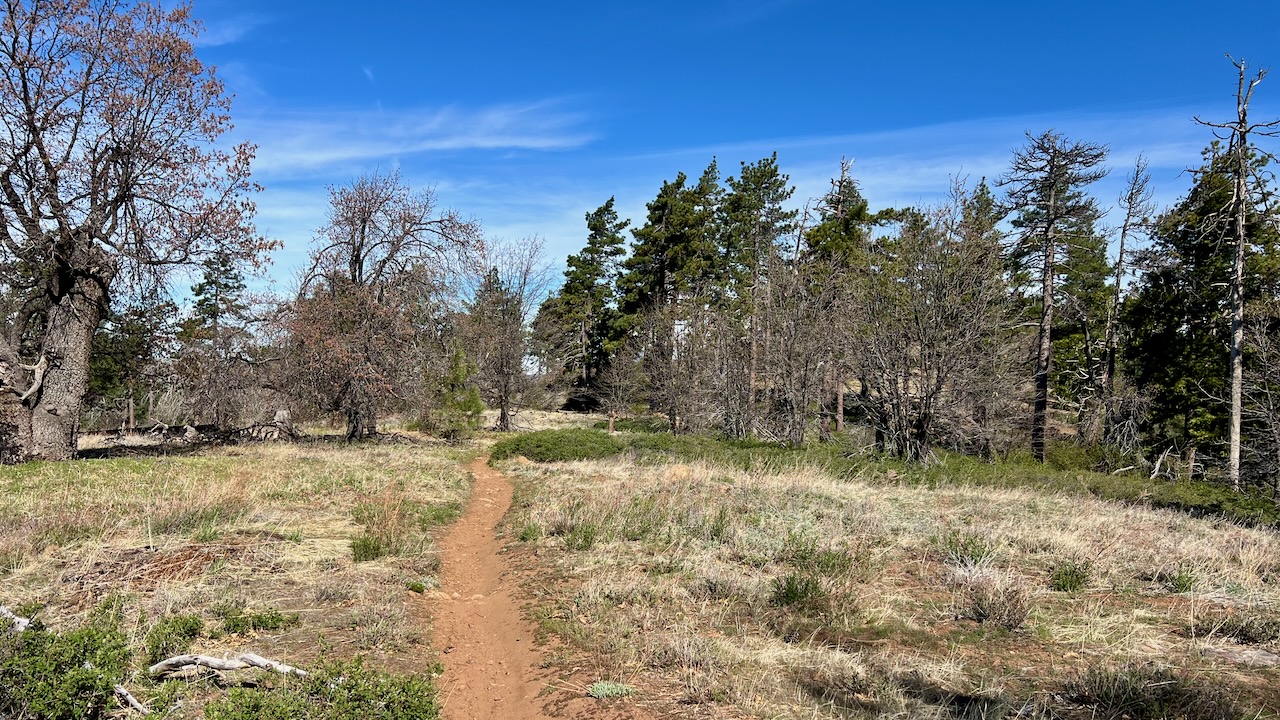 Trail View