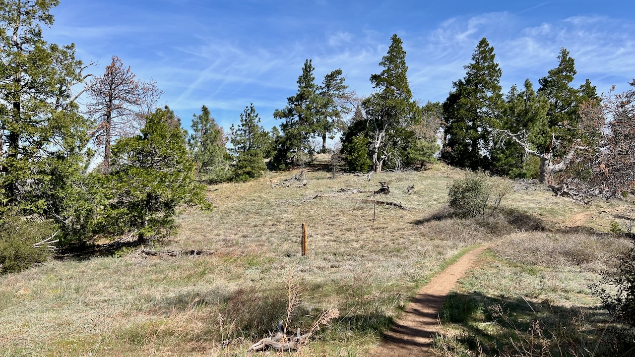 Trail View