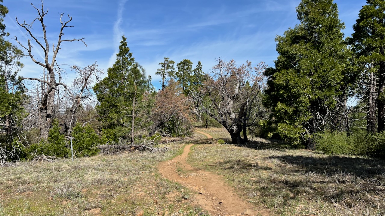 Trail View