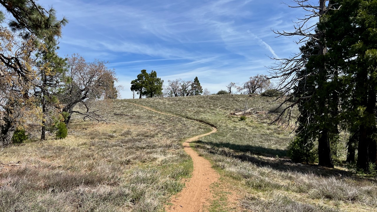 Trail View