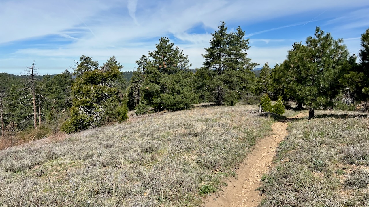 Trail View
