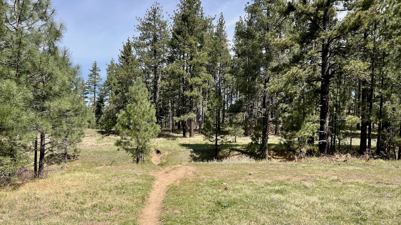Trail View