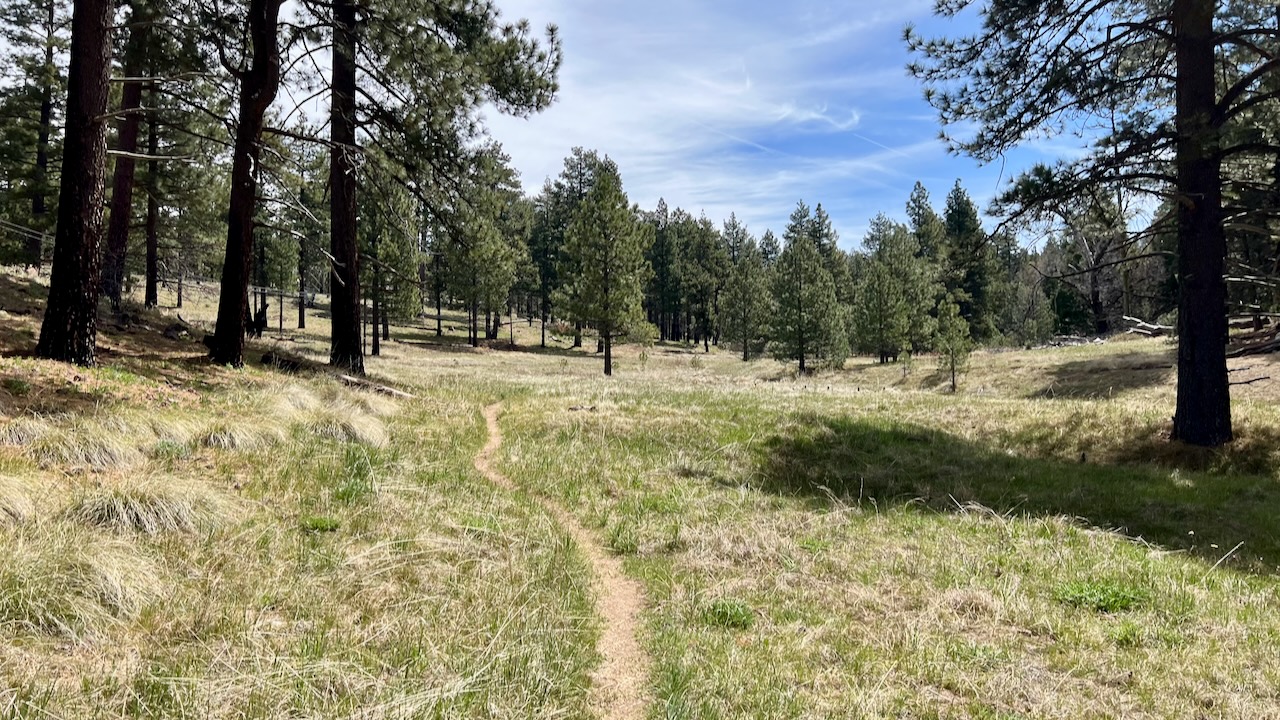 Trail View