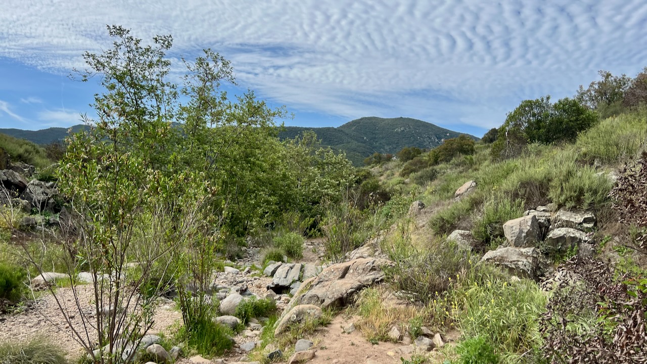 Trail View