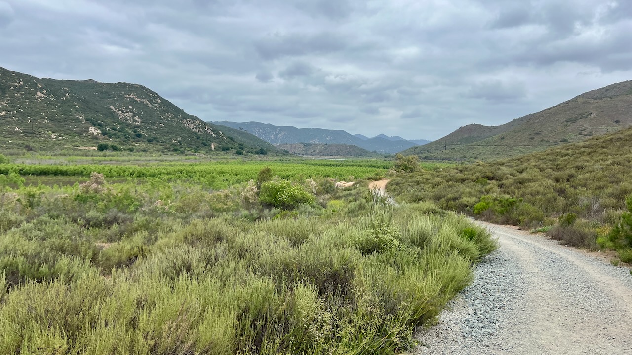 Trail View