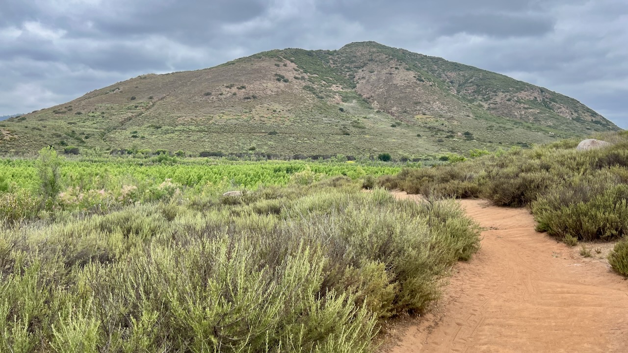 Trail View