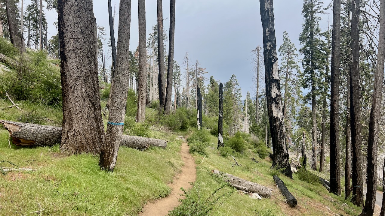 Trail View