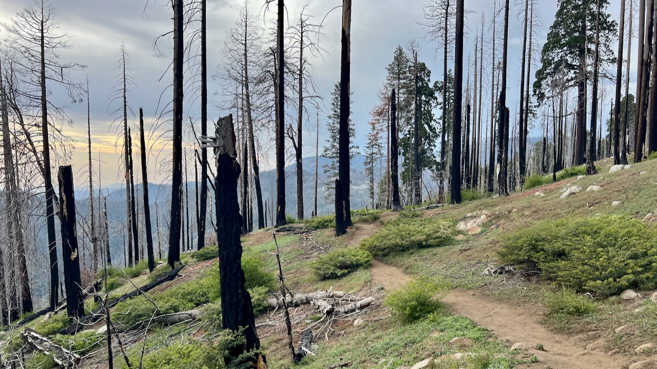 Trail View