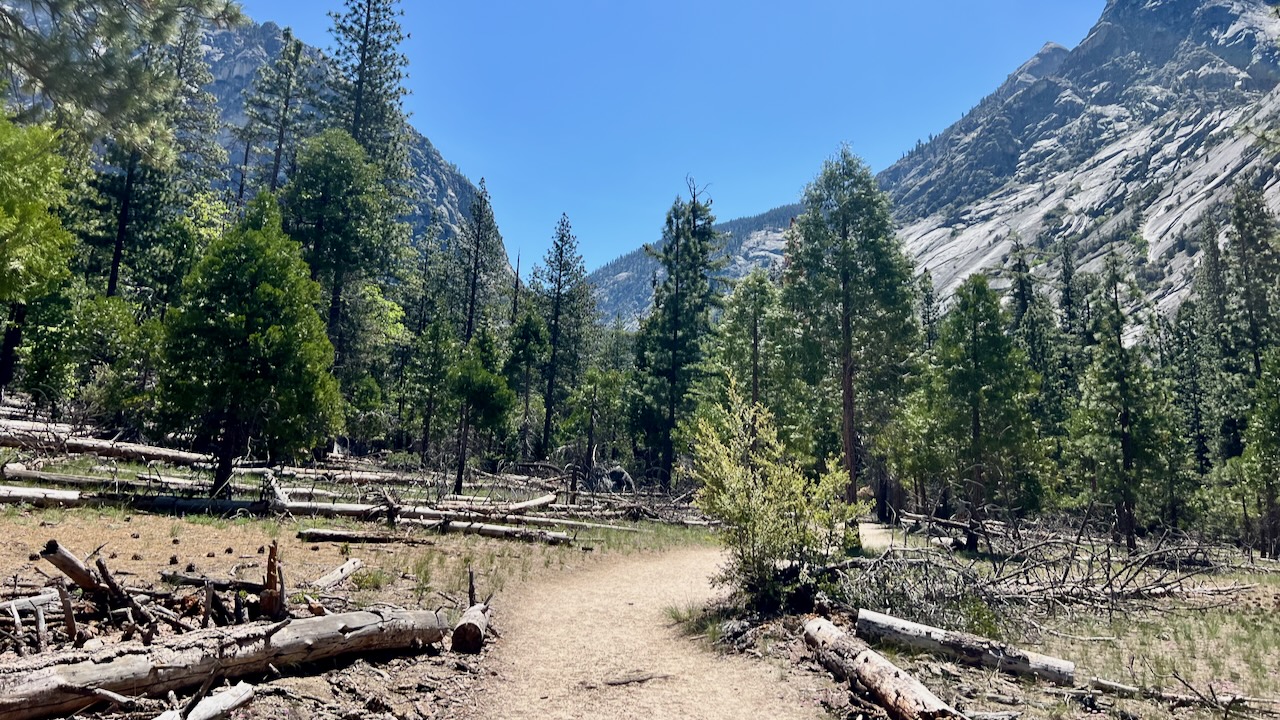 Trail View