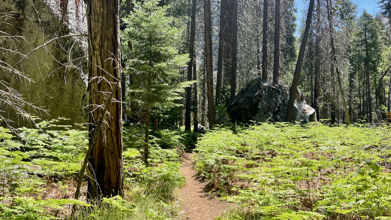Trail View