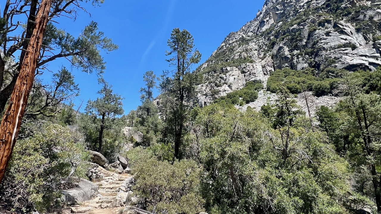 Trail View
