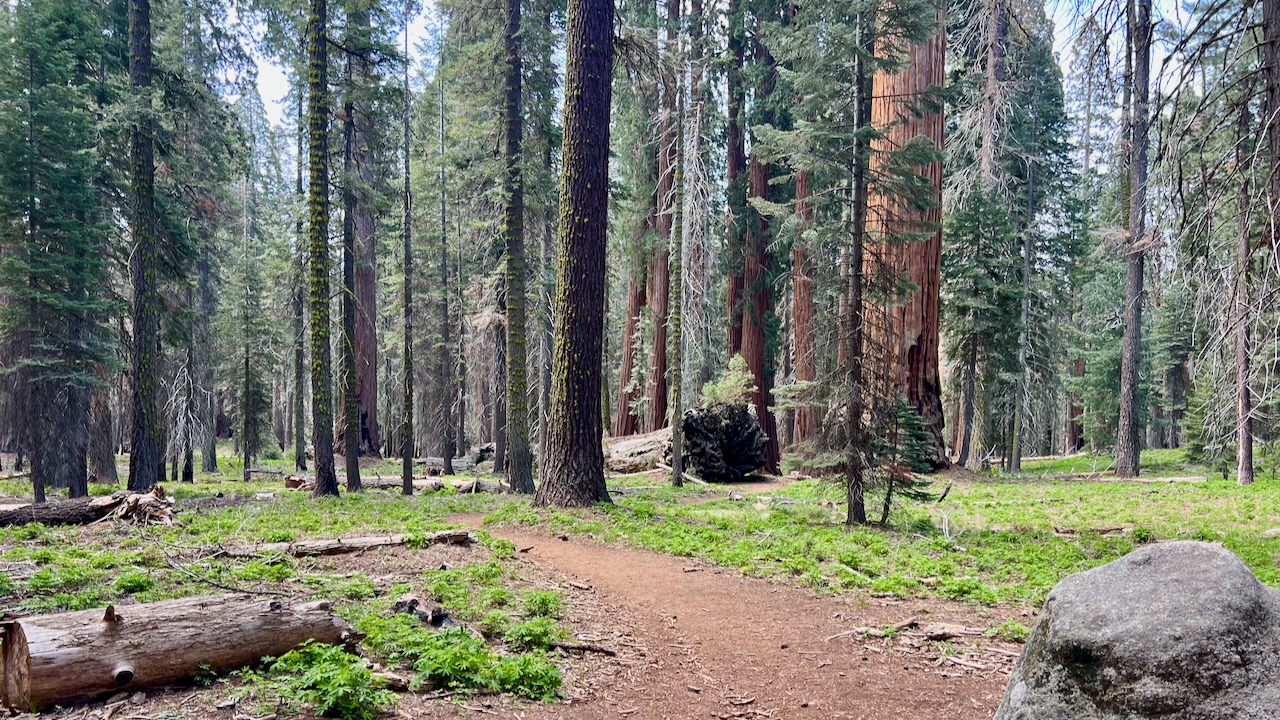 Trail View