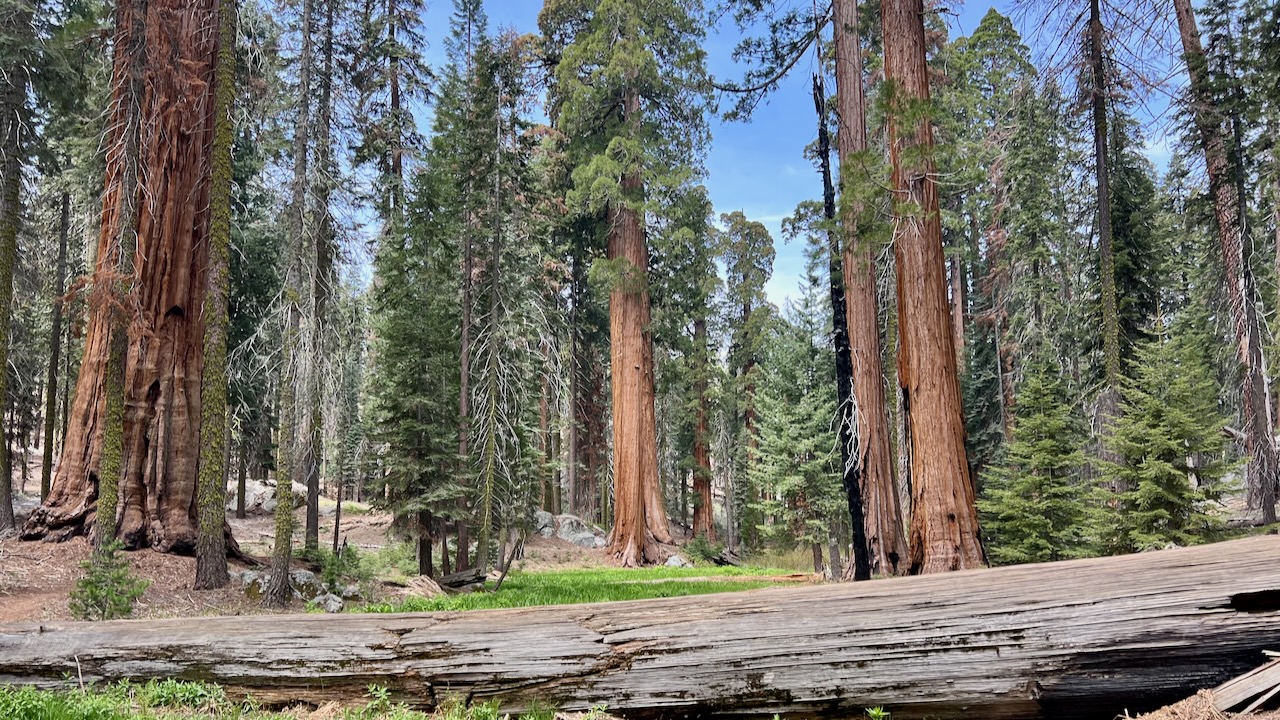 Trail View