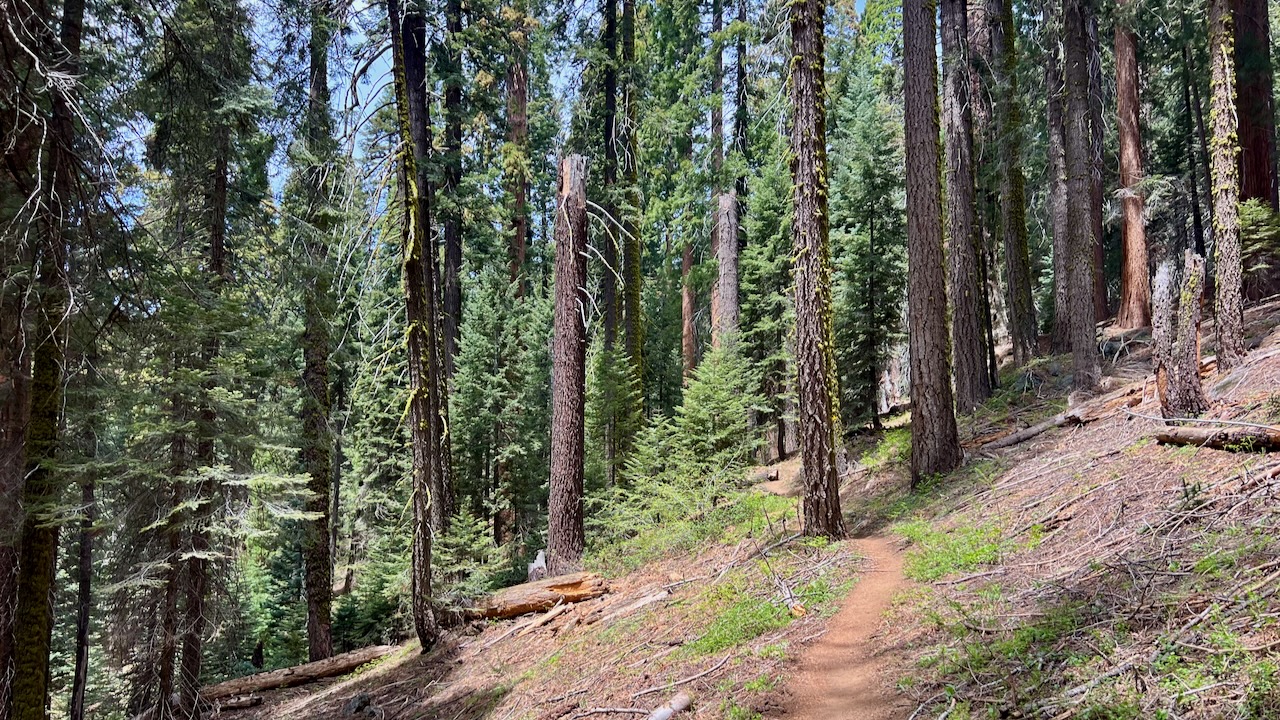 Trail View