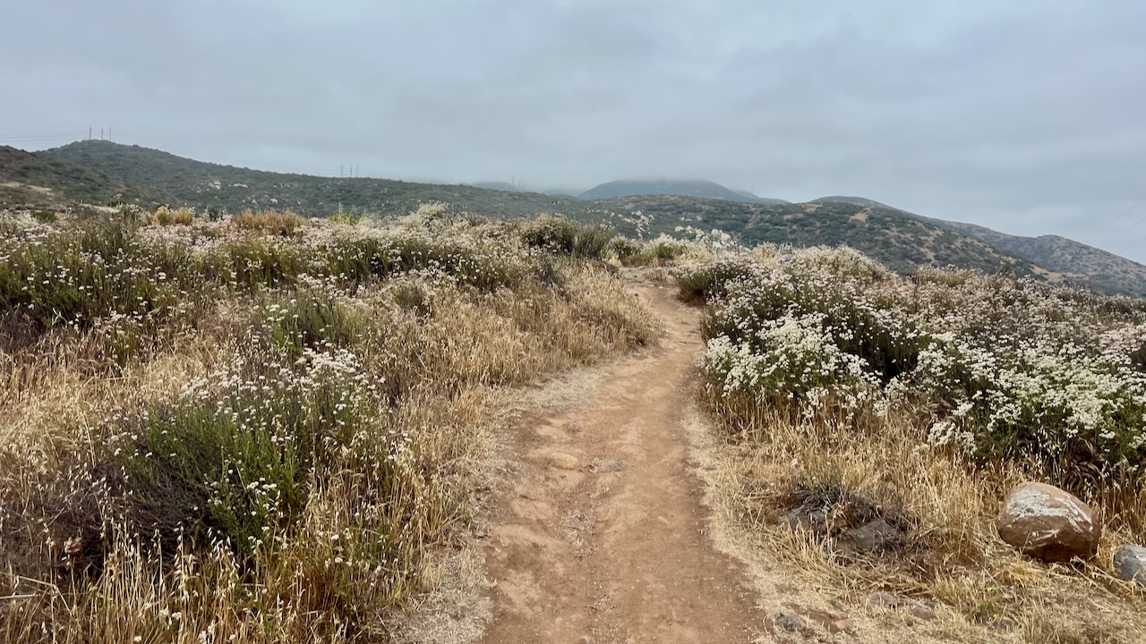 Trail View