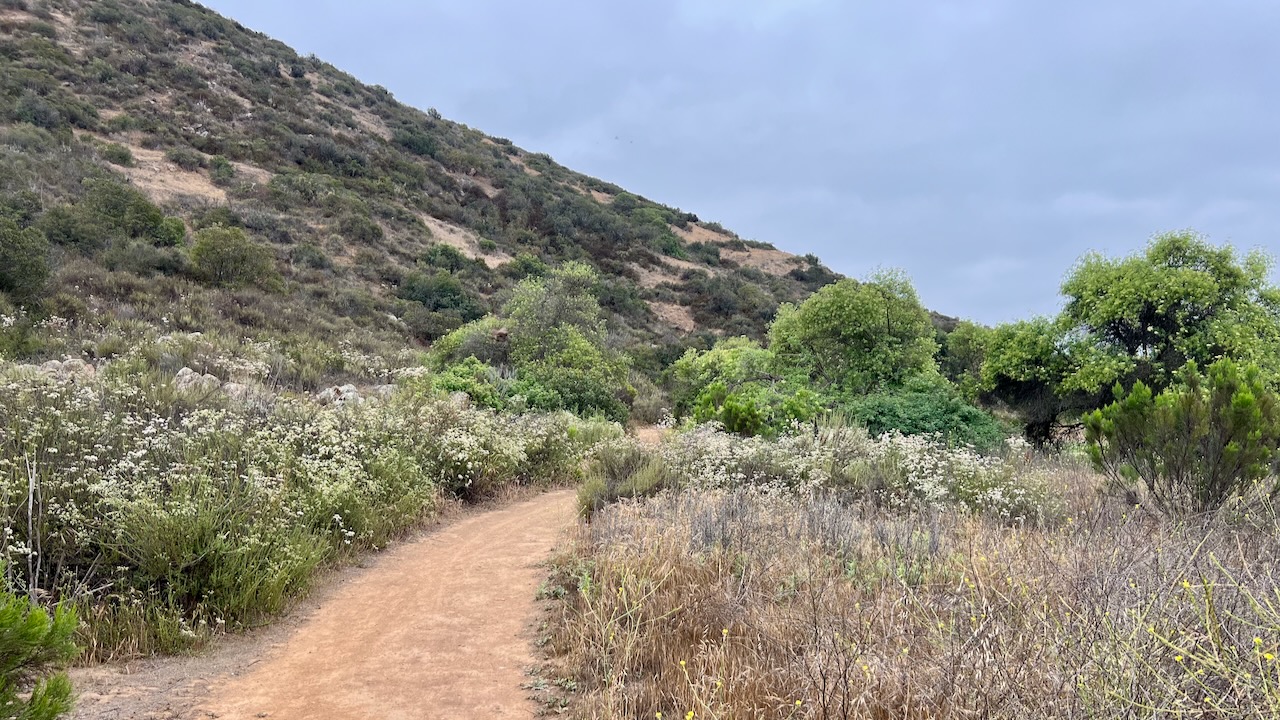 Trail View