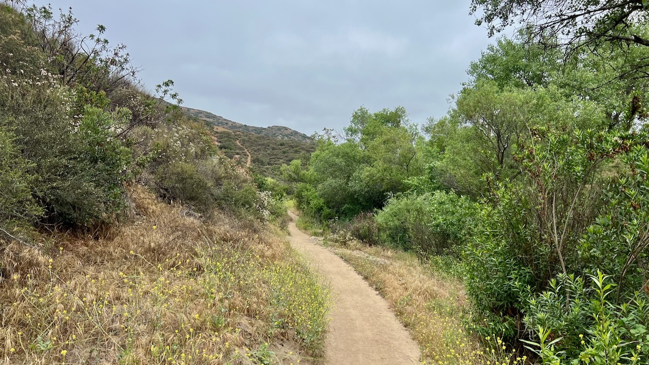 Trail View