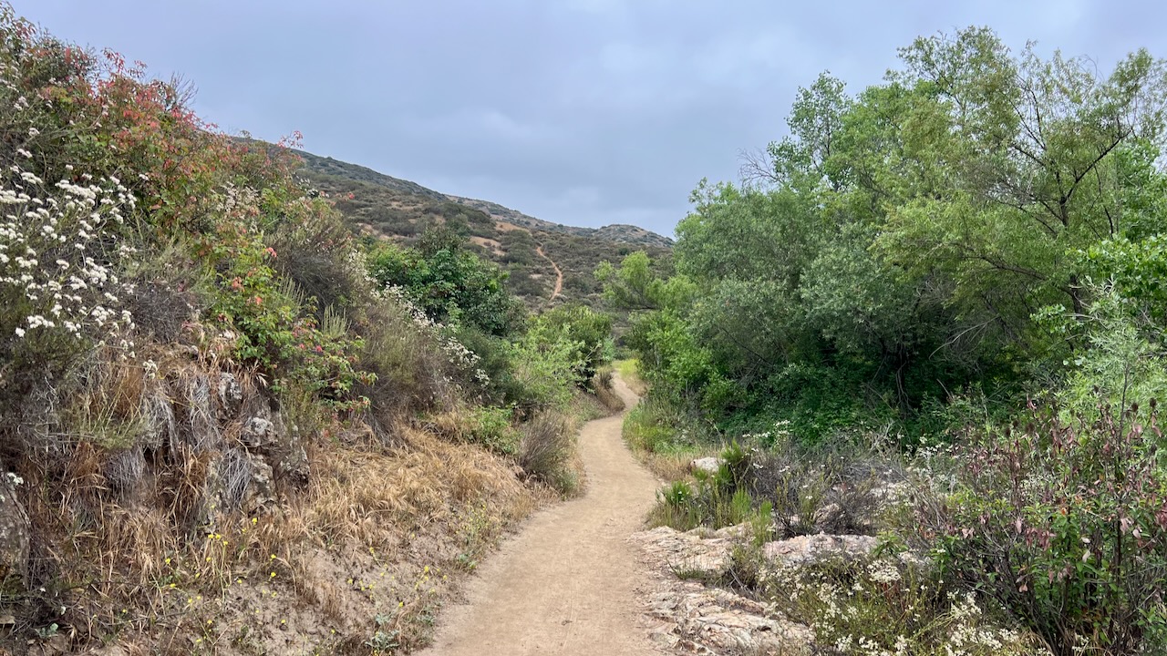 Trail View