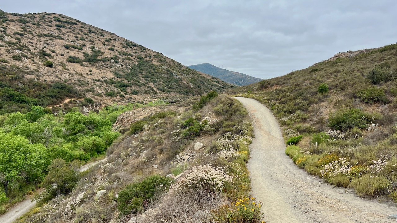Trail View
