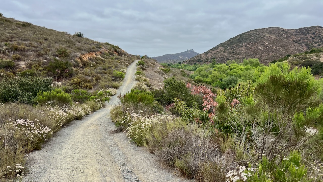 Trail View