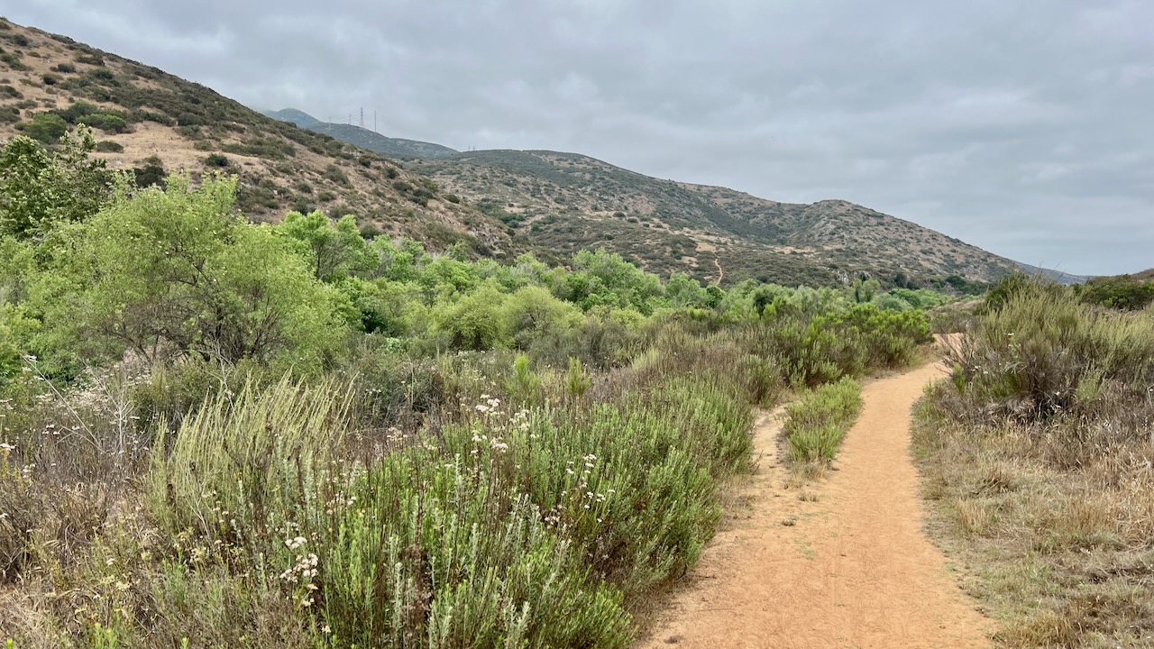 Trail View
