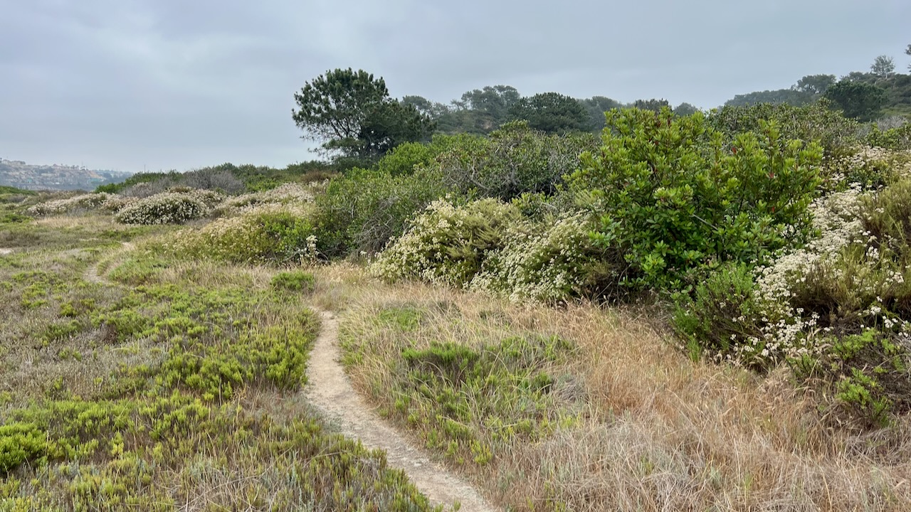 Trail View