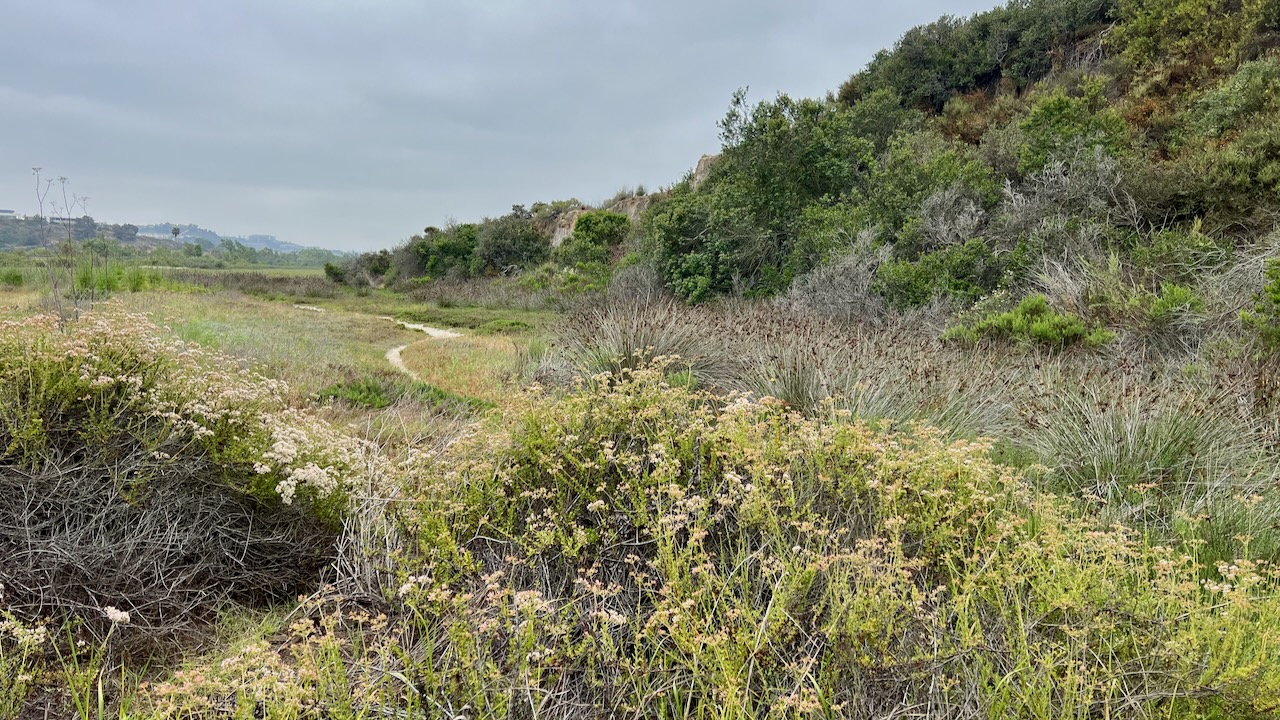 Trail View