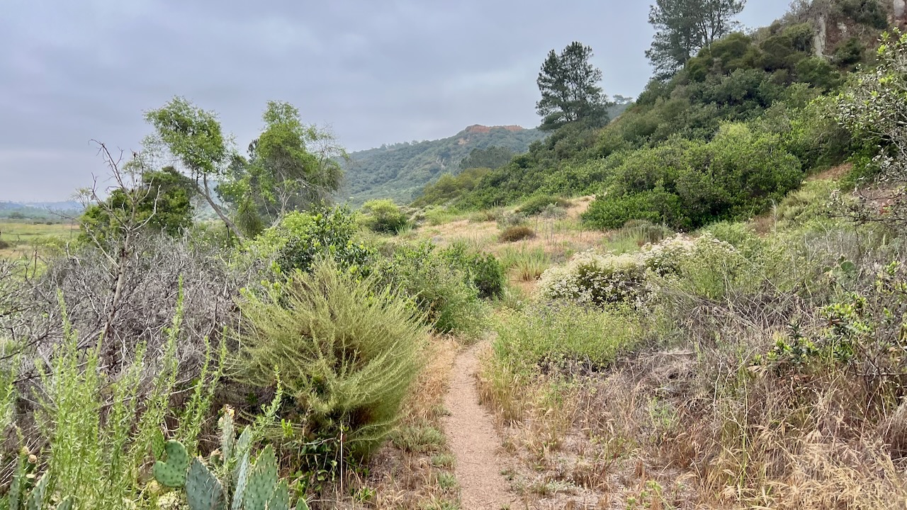 Trail View