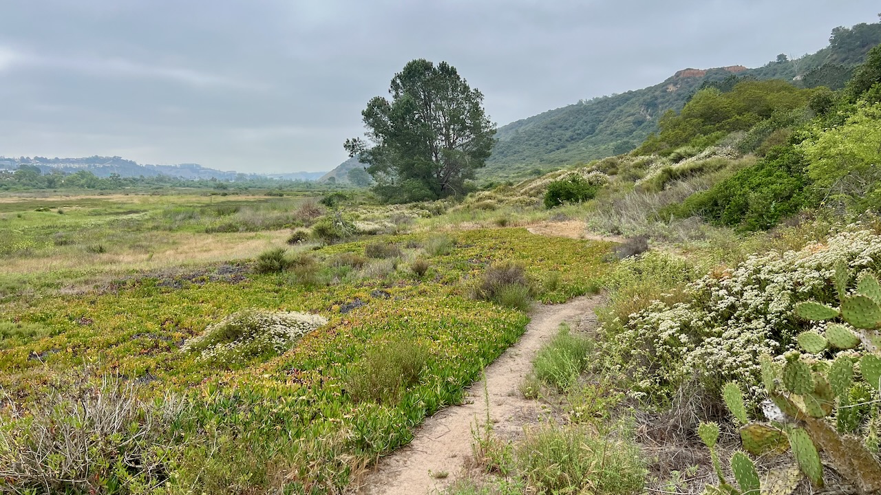 Trail View