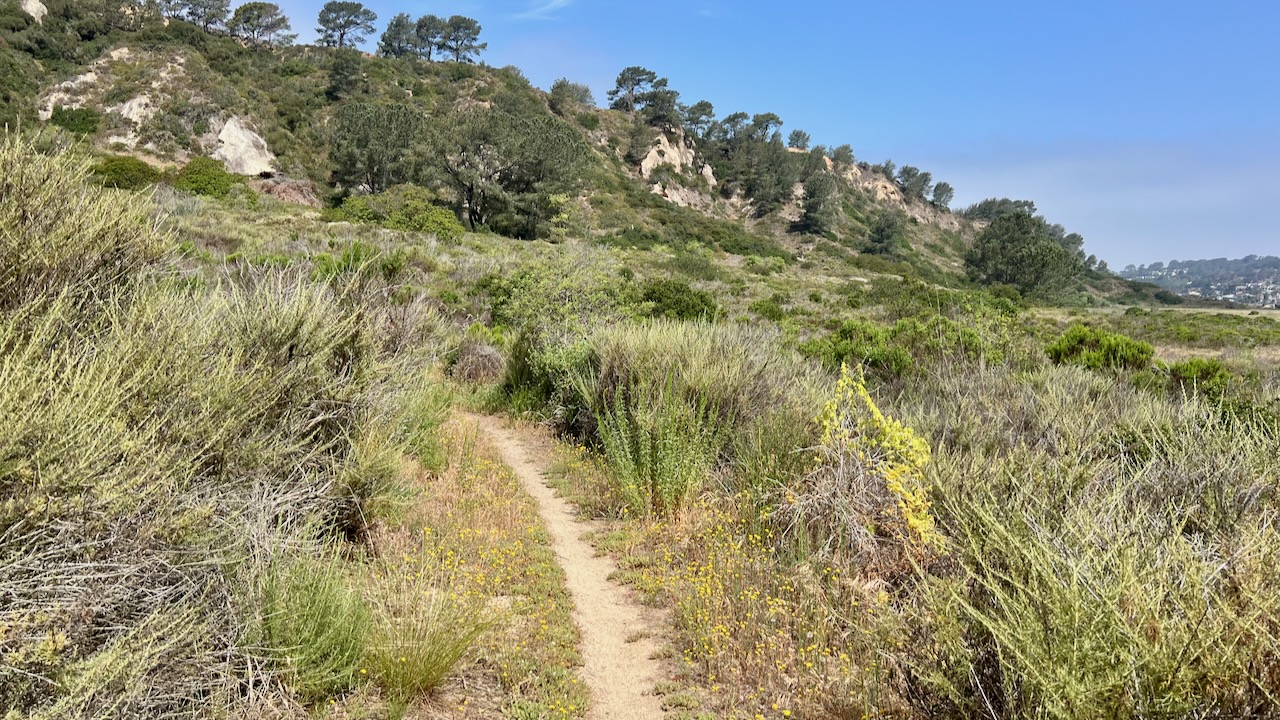 Trail View