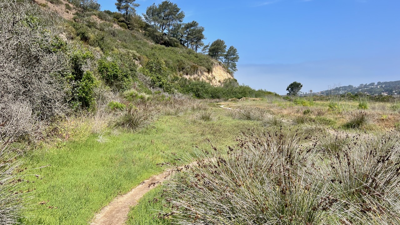 Trail View