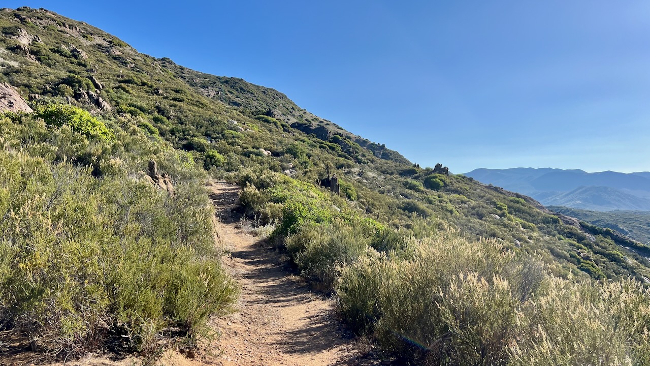 Trail View