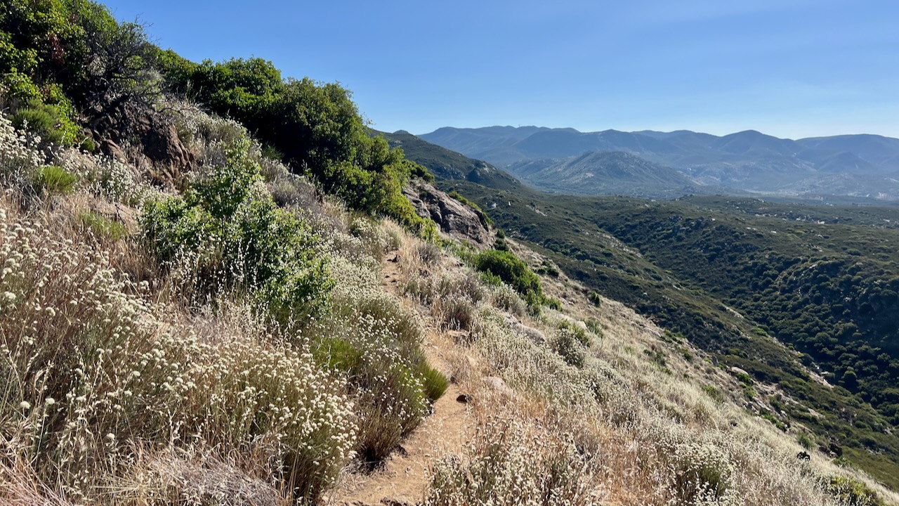 Trail View