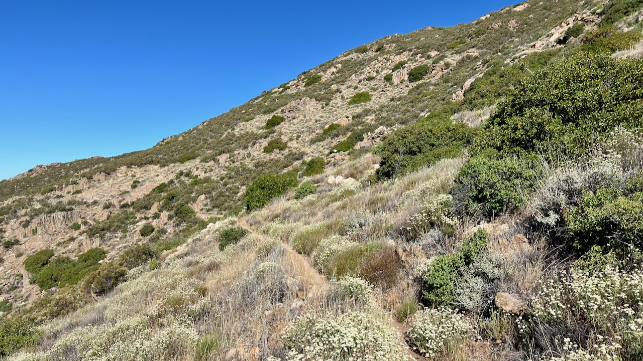 Trail View