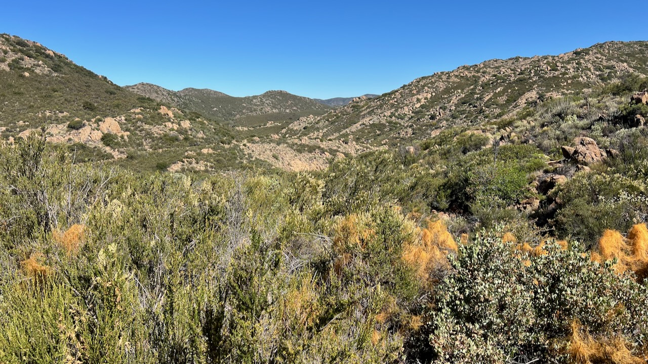 Overlook
