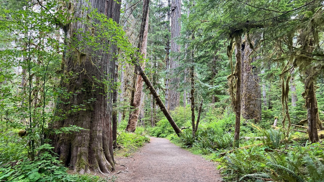 Trail View