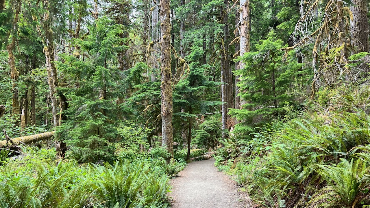 Trail View