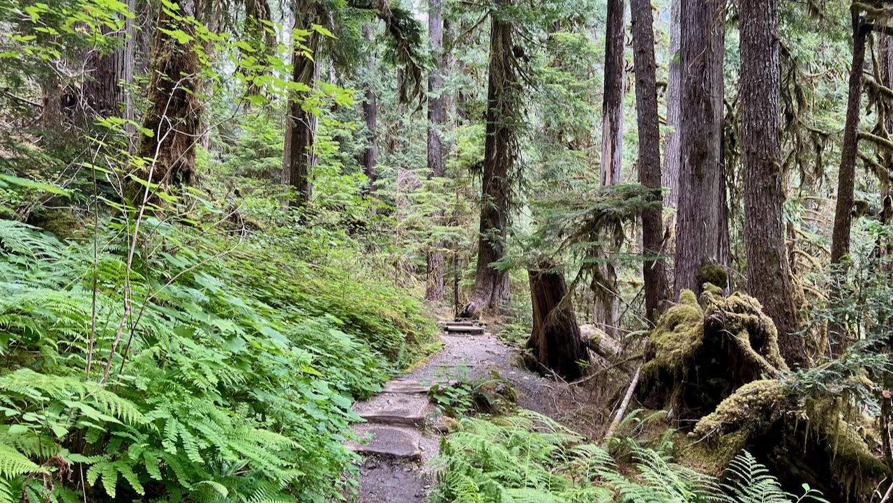 Trail View