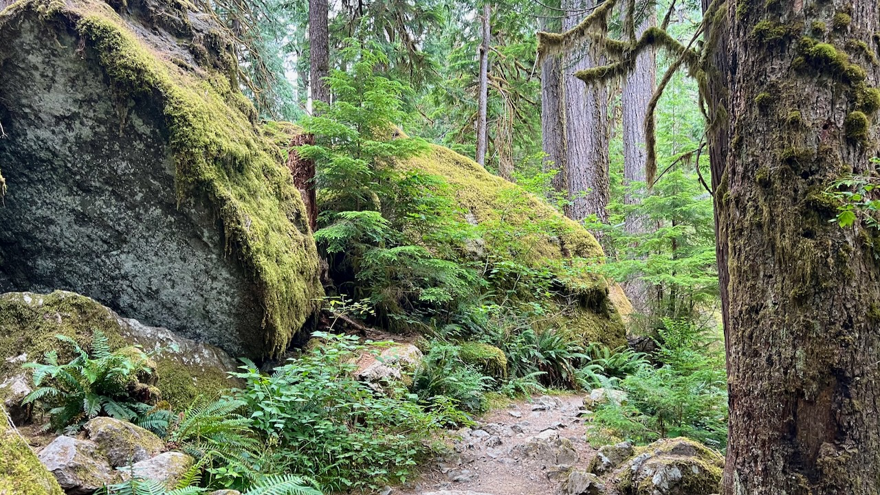 Trail View