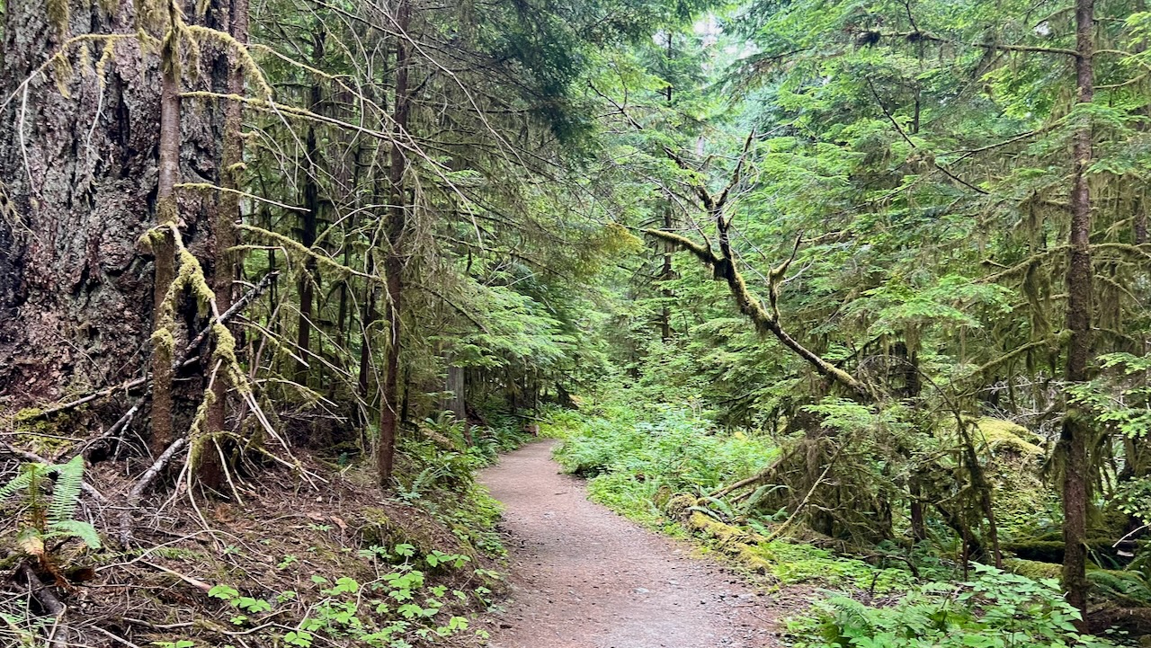 Trail View