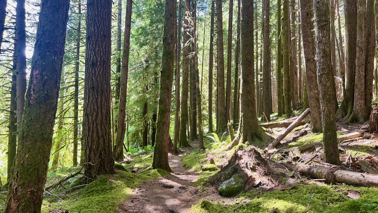 Trail View