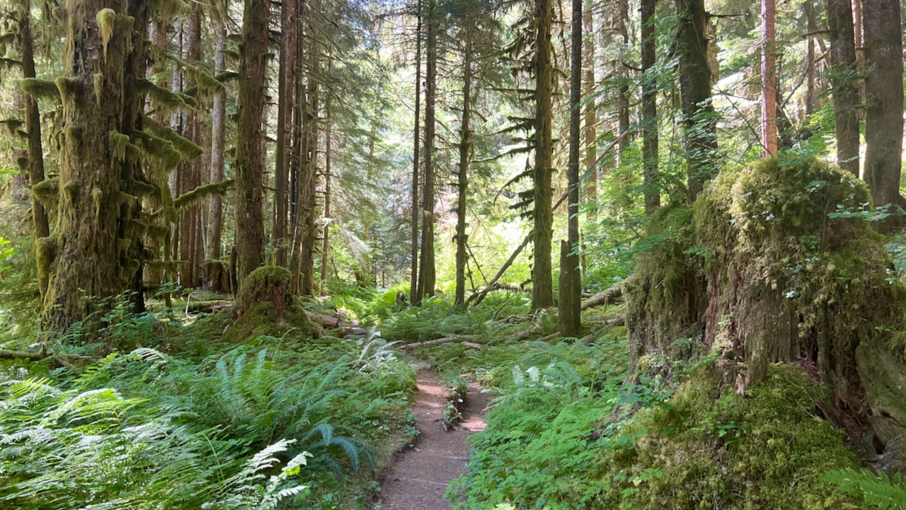 Trail View
