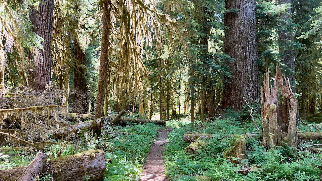 Trail View