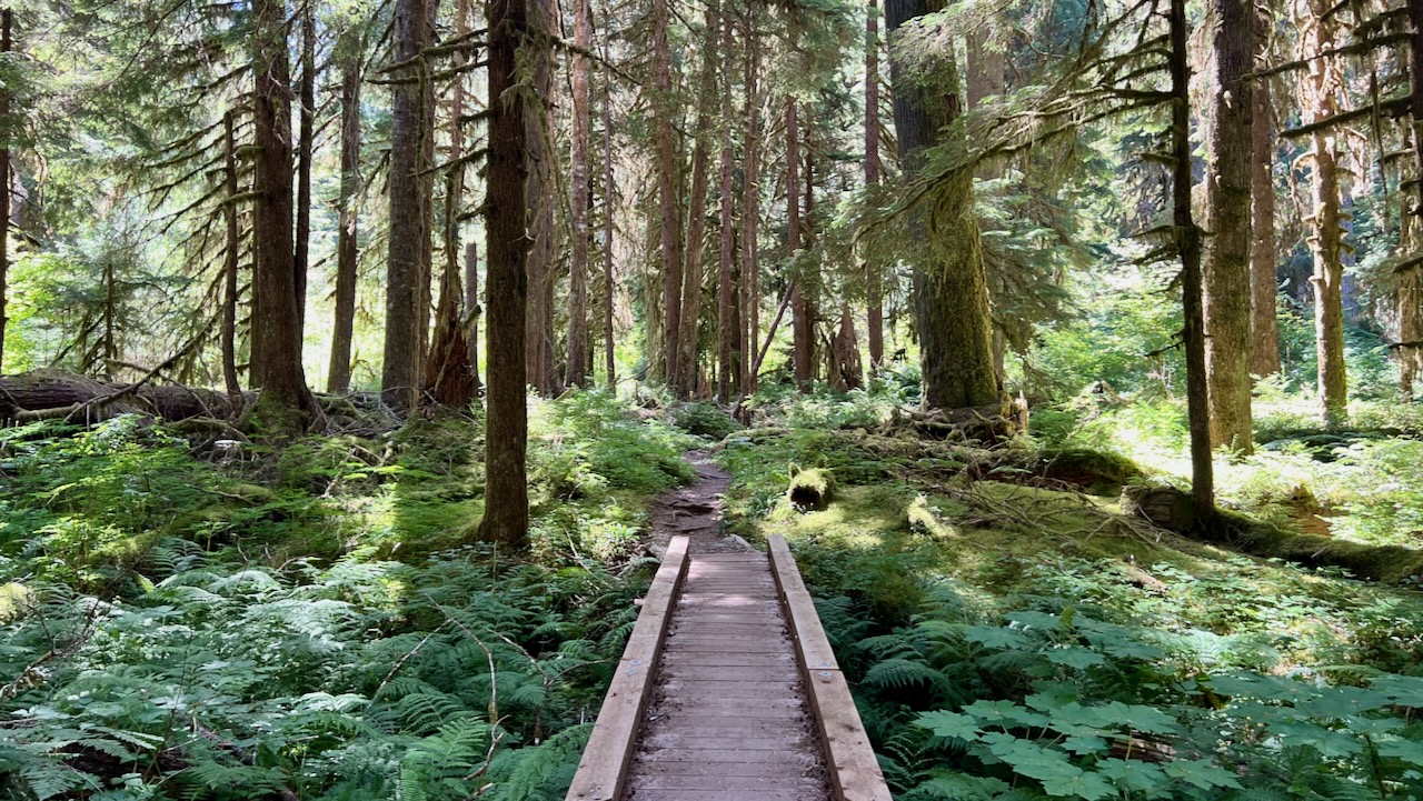 Trail View