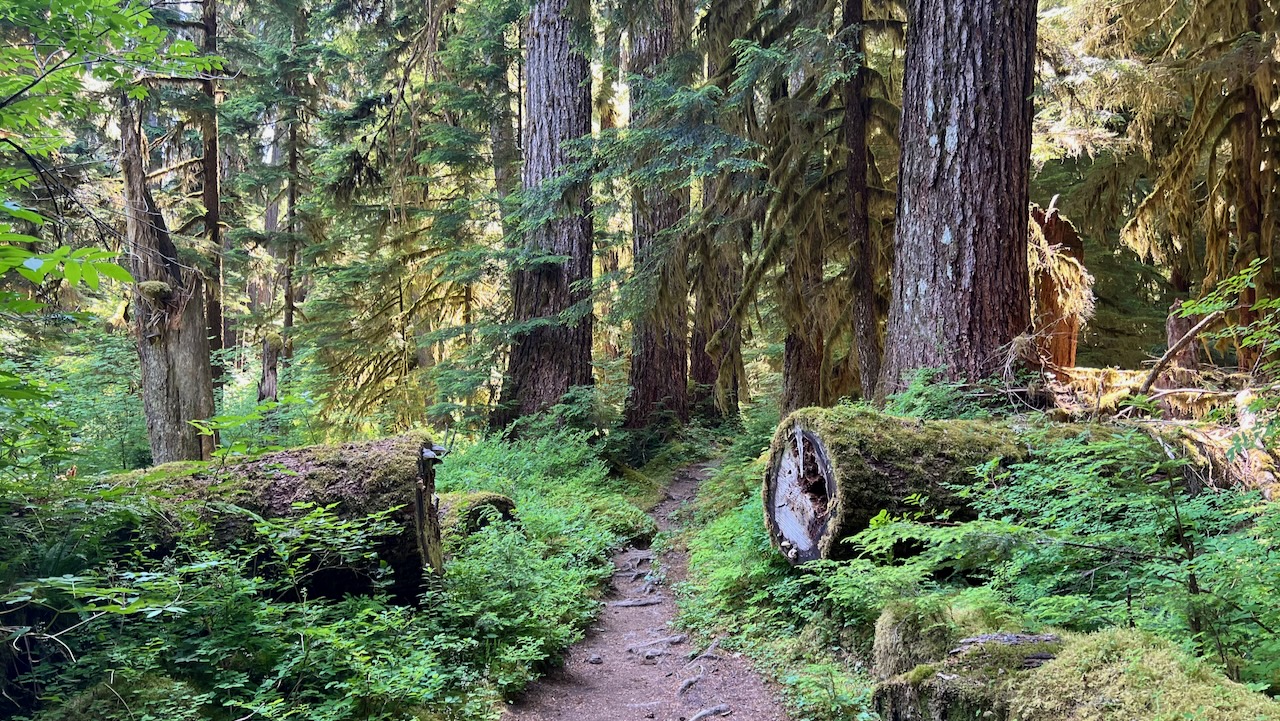 Trail View