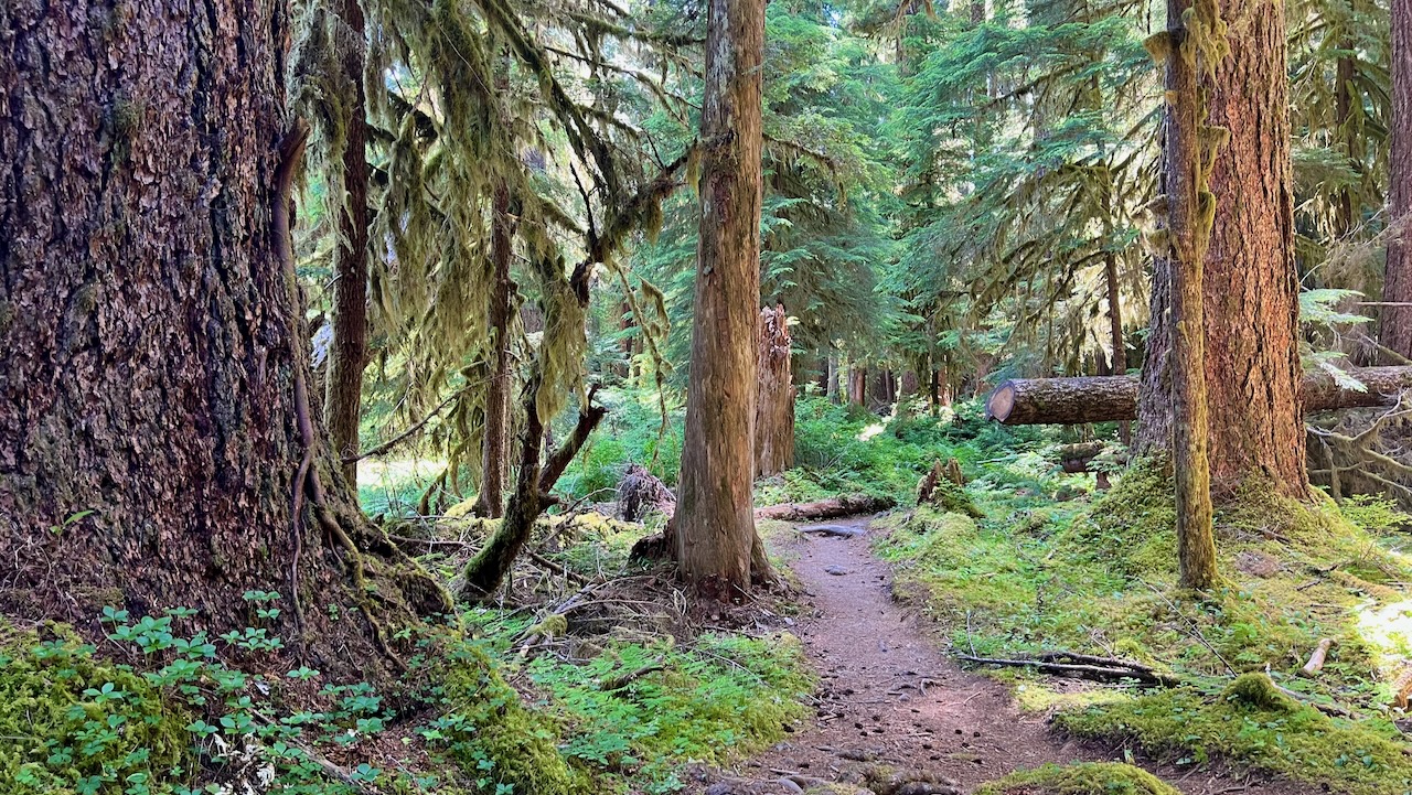 Trail View