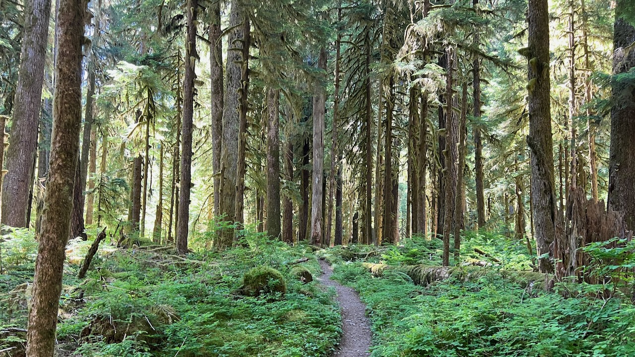 Trail View