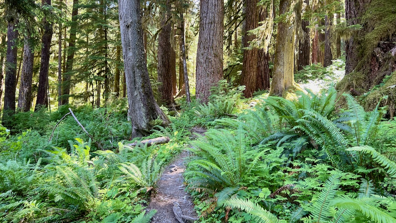 Trail View