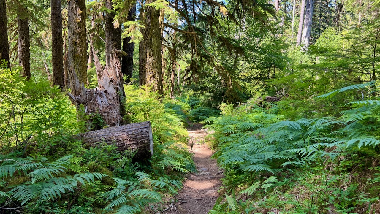 Trail View